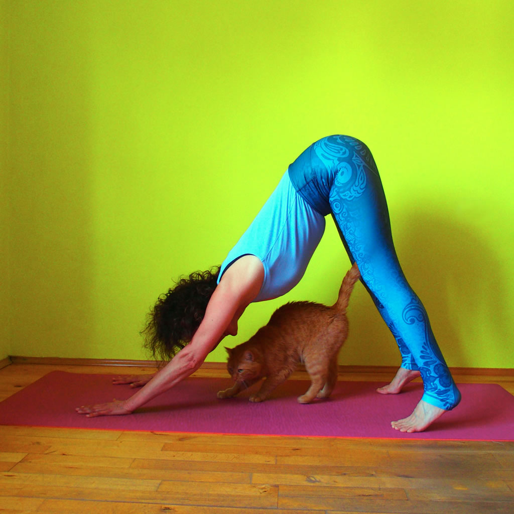 Yoga Aachen - Claudia Schmitte